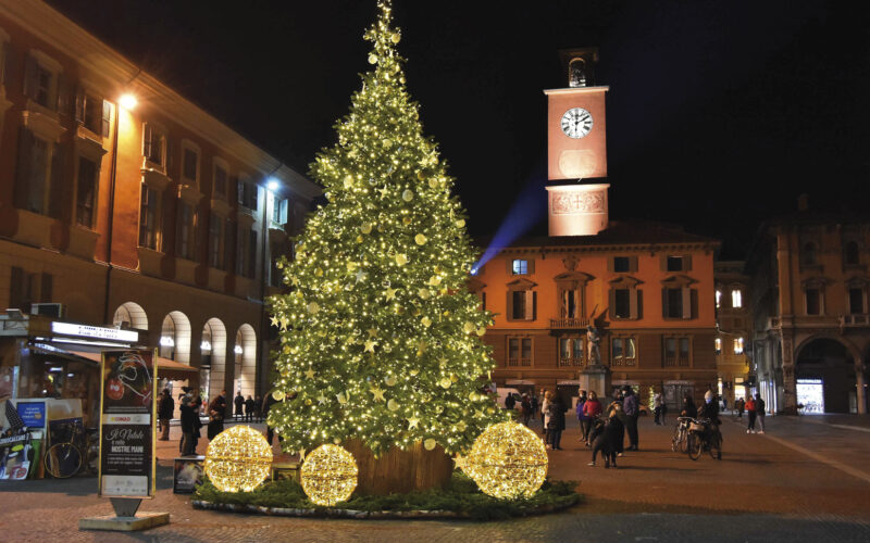 Il “triste” Natale dell’albero Camillo